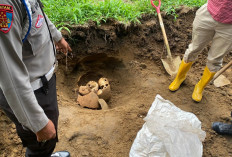 Soal Temuan 3 Kerangka Diduga Kepala Manusia: Ahli Cagar Budaya Kepahiang Sebut Ada Potensi Peninggalan Purbak