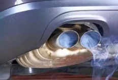  Mengenal Sistem Exhaust Mobil Diesel: 5 Ciri Kerusakan dan Cara Memperbaikinya