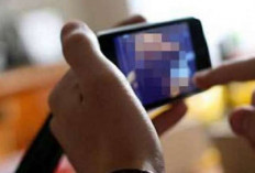 Sebarkan Video Porno, Perempuan Mantan Caleg Dipenjara 