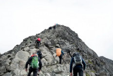 5 Manfaat Mendaki Gunung Bagi Kesehatan Fisik dan Mental