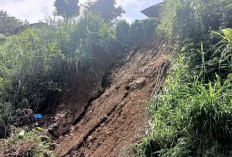 Tanah Longsor di Kabupaten Kepahiang: Rumah Warga Daspetah Nyaris Terdampak