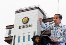  Presiden Janjikan Tunjangan PNS Kementerian ESDM Naik Tahun Ini 