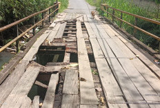 Jembatan Penghubung Sidodadi-Kampung Bogor Membahayakan 