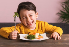 Orang Tua Wajib Tahu, Begini Panduan Makan Agar Anak Tumbuh Sehat dan Cerdas