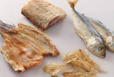 Jenis Ikan Ini Bisa Cegah Kolesterol Jahat, Apa Saja?