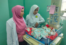 Penemuan Bayi Perempuan Dalam Kardus: Kemungkinan Lahir Dibantu Nakes? Sempat Dikira Paket Barang