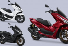  Motor Honda Terbaru 2025: Cek Harga dan Tips Memilih Motor Honda yang Tepat