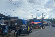 Lebong Utara Miliki Jumlah Pelaku UMKM Terbanyak, Segini Jumlahnya