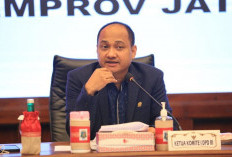 Tidak Dilibatkan Pembahasan RUU ASN, DPD RI Singgung Nasib Honorer di Wilayah 3T 