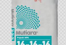 Pupuk Jenis Organik Resmi Disubsidi, Ini Jenisnya! 