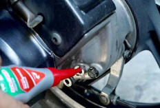 Bisa Lebih Lama, Ini Fungsi Oli Gardan Pada Kendaraan Matic
