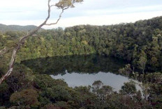 Danau Purba Tapak Kaki, Potensi Wisata Baru Manis Rejang Lebong 