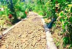 Realisasikan DD Tahun 2025: Desa Meranti Jaya di Kepahiang Bangun Ini