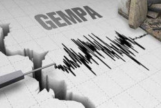 Bisa Capai 8,9 Magnitudo, Gempa Megathrust Tinggal Menunggu Waktu ?