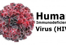 Segini Jumlah Kasus HIV/AIDS Aktif di Kabupaten Lebong