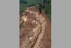 Warga Tagih Janji, Jalan Desa Langgar Jaya seperti Sawah