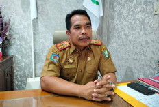 Nasib 629 PPPK Kabupaten Kepahiang Ditentukan: Penuh Waktu atau Paruh Waktu? Begini Kata Sekkab Hartono