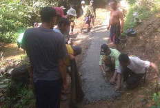 Warga Tebat Monok Gotong Royong Buka Badan Jalan ke Kebun Kopi