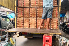  Harga Telur di Pasar Kepahiang Turun: Segini Harganya 
