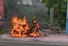Ancam Keselamatan, Ledakan Motor Listrik Ternyata Sulit Dipadamkan