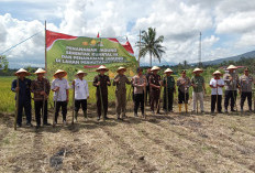 Wabup Kepahiang & Forkopimda Tanam Jagung di Desa Suro Lembak: Dukung Program Ketahanan Pangan