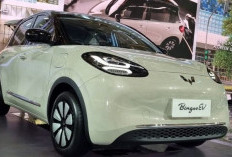 Wuling Binguo EV Lite: Mobil Listrik dengan Desain Stylish