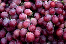Buah dengan Kadar Gula Tinggi, Ini Daftarnya