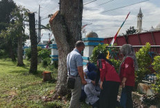 Banyak PNS Tumbang Saat Upacara HUT ke-21 Kabupaten Kepahiang