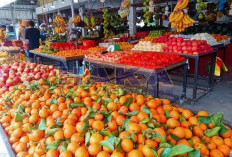 Jeruk Asal China Banjiri Pasar Indonesia: Petani Jeruk Semakin Sulit 