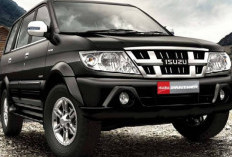  Isuzu Panther 2025: Cek Harga dan Skema Kredit Lewat BCA Finance
