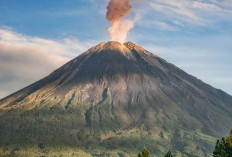 Gunung Semeru Erupsi, Semburkan Abu Vulkanik 1.000 Meter di Atas Puncak