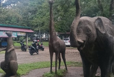 Revitalisasi Taman Remaja Bengkulu, Pemprov Harapkan Dukungan Pusat 