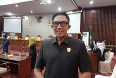 Plt Ketua DPD I Golkar Dari Pengurus DPP