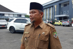 Harga TBS Kelapa Sawit Tidak Mengikuti Ketetapan, PKS Siap-siap Disanksi