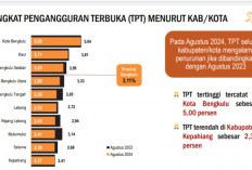 Data BPS Tingkat Pengangguran di Kota Lebih Tinggi