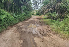 Pemkab Benteng Akhirnya Perbaiki Jalan Taba Tengah–Talang Donok 