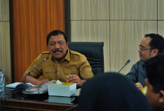 Wagub Mian Tekankan Pentingnya Tata Kelola Keuangan yang Baik