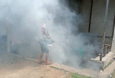 Curah Hujan Meningkat, Waspada Ancaman DBD!