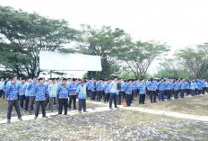 46 PNS Lebong Pindah, 68 Lainnya Pensiun Tahun Ini 