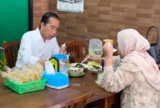 Usai Purnabakti Jadi Presiden, Segini Kekayaan Jokowi