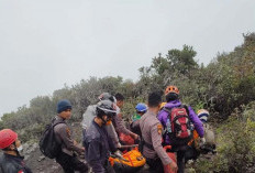 Ini Identitas 23 Pendaki Gunung Marapi Sumbar yang Meninggal Dunia 