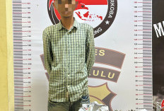 Ungkap Kasus Penyalahgunaan Narkotika: Polres Lebong Tangkap 1 Orang, Sabu dan Ganja Diamankan