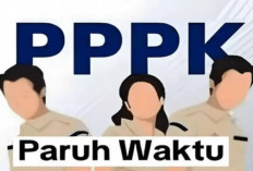 PPPK Paruh Waktu di Kabupaten Lebong Belum Ada Kepastian, Ini Penjelasan BKPSDM