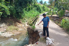  Jalan di Kecamatan Merigi Kelindang Bengkulu Tengah Terancam Putus