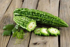 3 Khasiat Pare dan Vitamin yang Terkandung di Dalamnya 