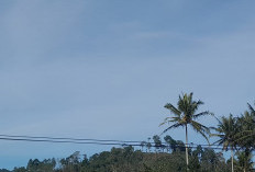 Suhu Dingin Malam dan Pagi Hari, Ternyata Ini Penyebabnya...