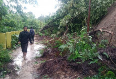 DD Bisa Dugunakan Untuk Penanggulangan Bencana? Begini Penjelasan Dinas PMD Kepahiang