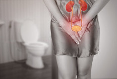 Kencing Sering Tersendat? Bisa Jadi ISK, Coba 5 Obat Herbal Ini Untuk Menyembuhkannya