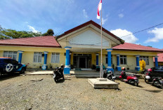 Dugaan Pelecehan Terhadap Siswi SMA di Kepahiang: DPPKBP3A Kabupaten Kepahiang Tawarkan Ini 