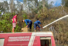 Lahan Kering di Keban Agung Kabupaten Kepahiang Nyaris Ludes Terbakar